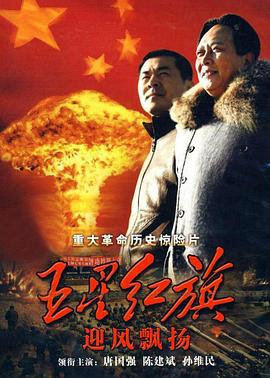 五星红旗迎风飘扬 (2011)海报