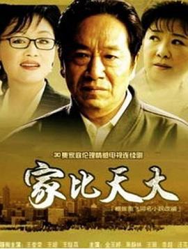 家比天大 (2007)海报