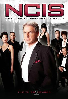 海军罪案调查处 第三季 NCIS: Naval Criminal Investigative Service Season 3 (2005)海报