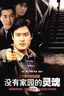 没有家园的灵魂 (1999)海报