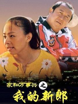 家和万事兴之我的新郎 (2002)海报