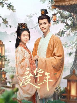 度华年 (2024)海报