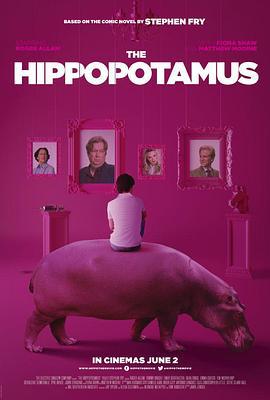 河马 The Hippopotamus (2017)海报