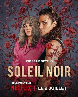 暗阳之下 Qui sème le vent (2025)海报