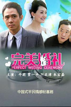 完美婚礼 (2011)海报