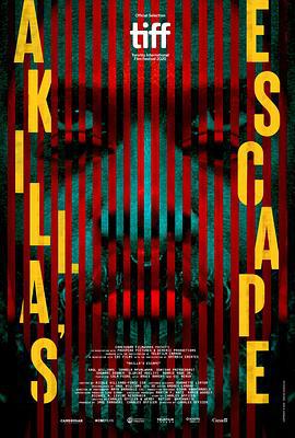 阿基拉的逃亡 Akilla's Escape (2020)海报