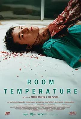 室温 Room Temperature (2025)海报