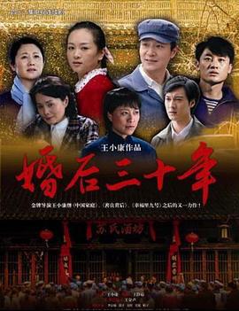 婚后三十年 (2009)海报