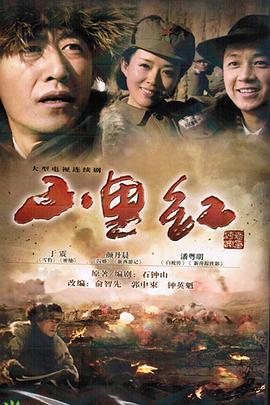 山里红 (2011)海报