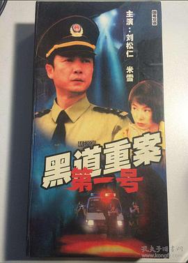 警匪较量珠三角 (1998)海报