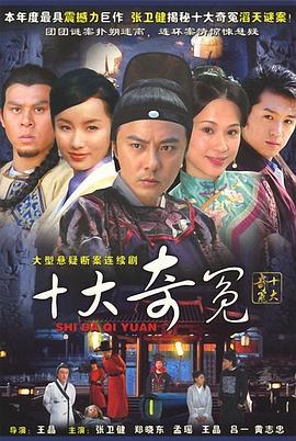 十大奇冤 (2008)海报