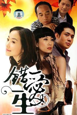 错爱一生 (2005)海报