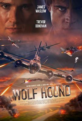 猎狼犬行动 Wolf Hound (2022)海报