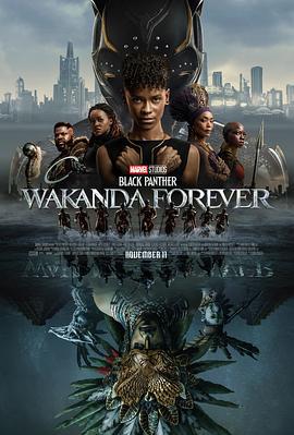 黑豹2 Black Panther: Wakanda Forever (2022) bd海报
