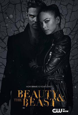 侠胆雄狮 第三季 Beauty and the Beast Season 3 (2015)海报