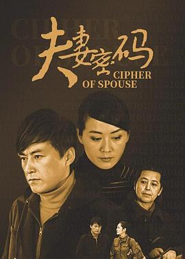 夫妻密码 (2010)海报