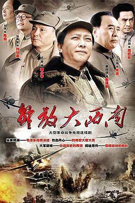 解放大西南 (2010)海报
