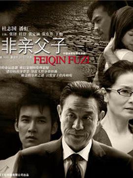 非亲父子 (2008)海报