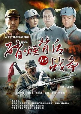硝烟背后的战争 (2011)海报