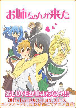 姐姐来了 お姉ちゃんが来た (2014)海报