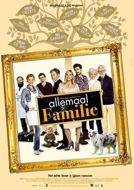 家庭之路 Allemaal Familie (2017)海报