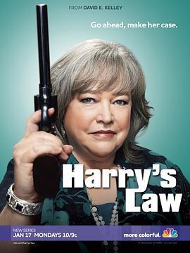 鞋店事务所 第一季 Harry’s Law Season 1 (2011)海报