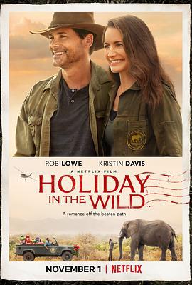 野外圣诞节 Holiday in the Wild (2019)海报