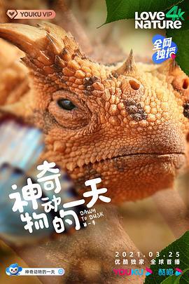 神奇动物的一天 第一季 Dawn to dusk Season 1 (2021)海报