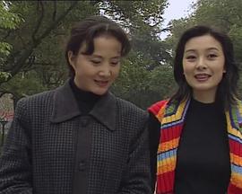 望月湖的故事 (1998)海报