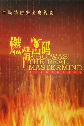 燃情密码 (2013)海报