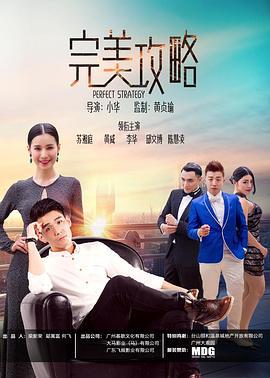 完美攻略 (2017)海报