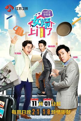 女婿上门了 (2015)海报