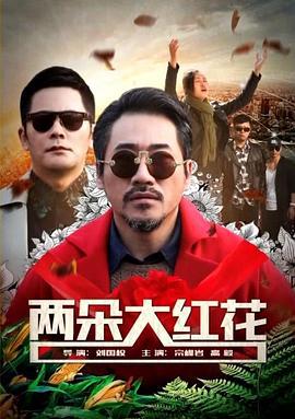 两朵大红花 (2017)海报