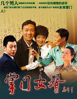 掌门女婿 (2011)海报