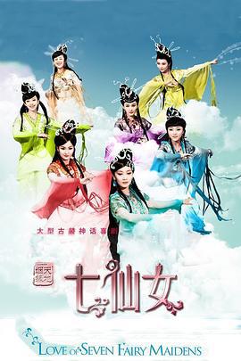 天地姻缘七仙女 (2011)海报