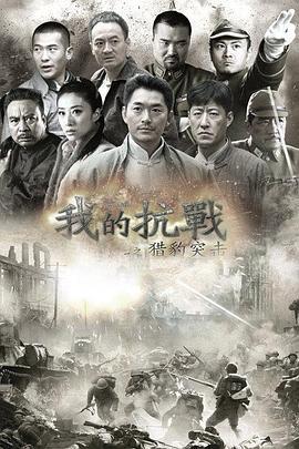 我的抗战之猎豹突击 (2013)海报