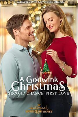 圣诞爱重来 A Godwink Christmas: Second Chance, First Love (2020)海报