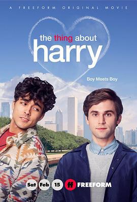 关于哈利的那些事 The Thing About Harry (2020)海报