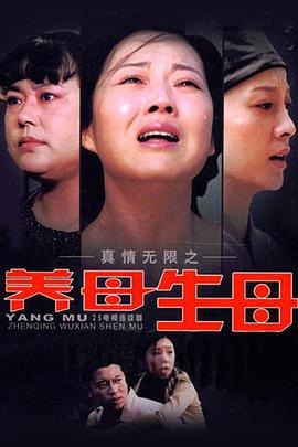 真情无限之养母生母 (2009)海报