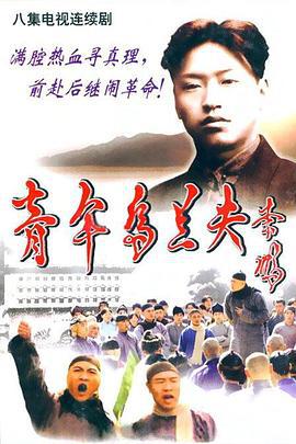 青年乌兰夫 (2004)海报