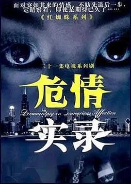 危情实录 (2003)海报