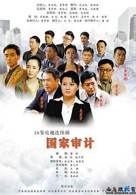 国家审计 (2014)海报