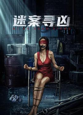 迷案寻凶 (2024)海报