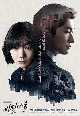 秘密森林 비밀의 숲 (2017)海报