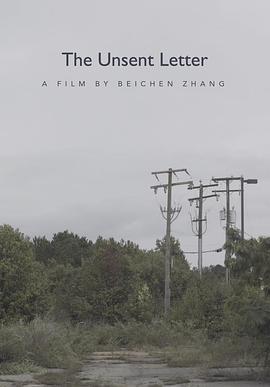 未寄出的信 The Unsent Letter (2021) bd海报