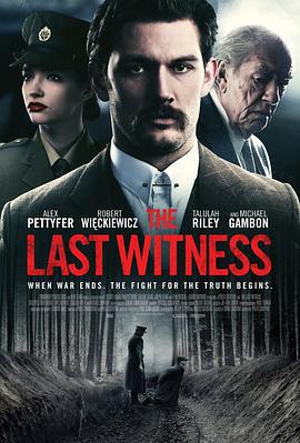 最后证人 The Last Witness (2018)海报