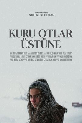 枯草 Kuru Otlar Üstüne (2023) zhong_zi海报
