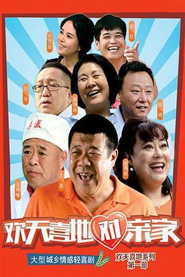 欢天喜地对亲家 (2015)海报