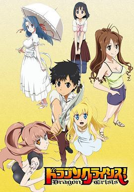 龙之界点 ドラゴンクライシス! (2011)海报