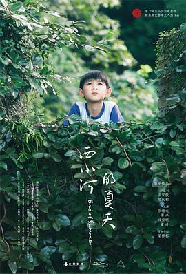 西小河的夏天 (2017)海报